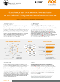 Gutachten zu den Ursachen von Geburtsschäden bei von freiberuflich tätigen Hebammen betreuten Geburten